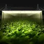 LED Grow Light, 300W Full Spectrum Dimmable, High Yield Samsung 2B1B Diodes Growing Lamp for Indoor Plants Seedling Veg and Bloo