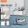 VEVOR Medical Cart, 2 Layers Stainless Steel Cart 99.8 kg Weight Capacity, Lab Utility Cart with 360° Silent Wheels and a Drawer