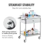 VEVOR Medical Cart, 2 Layers Stainless Steel Cart 99.8 kg Weight Capacity, Lab Utility Cart with 360° Silent Wheels and a Drawer