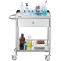 VEVOR Medical Cart, 2 Layers Stainless Steel Cart 99.8 kg Weight Capacity, Lab Utility Cart with 360° Silent Wheels and a Drawer