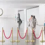 VEVOR Velvet Ropes and Posts, 5 ft/1.5 m Red Rope, Stainless Steel Gold Stanchion with Ball Top, Red Crowd Control Barrier Used 