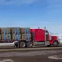 Winch Straps, 4" x 30', 6000 lbs Load Capacity, 18000 lbs Breaking Strength, Truck Straps with Flat Hook, Flatbed Tie Downs Carg