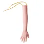 Phlebotomy Practice Kit, IV Venipuncture Intravenous Training
