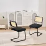 Rattan Stole, Sæt med 2, Mid Century Modern Dining Chair