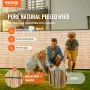 naturligt sivhegn, 5,5 fod x 16,4 fod, sivskærmgardin Balkon