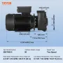 2 Speed SPA Pump, 56-Frame, Dual-Speed Hot Tub SPA Pump, 1900W / 43 m³/h / 18 m High Speed or 450W / 21.5 m³/h / 4.4 m Low Speed