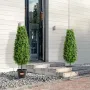 Artificial Boxwood Topiary Tree, 36 inch Tall (2 Pieces), Faux Topiary Trees, Green Faux Plant w/ Extra Leaves & Pot & Small Dec
