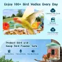 Smart Bird Feeder med kamera, 2K HD AI Identificer 10.000+