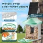 Smart Bird Feeder med kamera, 2K HD AI Identificer 10.000+