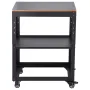 Planer Stand, 100 lbs/ 45 kg heavy loads, Three-Gear Height Adjustable thickness planer table,with 4 Stable Casters & Storage Sp