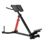 Roman Chair Hyperextension bænk, 350 lbs justerbar