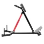 Roman Chair Hyperextension bænk, 350 lbs justerbar