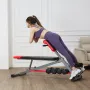 Multi-Functional Weight Bench for Full Body Workout, Roman Chair Hyperextension Bench, 660 lbs Adjustable Extension Equipment fo