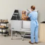 Hundevaskestation i rustfrit stål, 127 cm kæledyrsplejekar m/