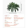 Artificial Ferns, Natural Spread Diameter 43-47 Inch, Large Hanging Artificial Boston Ferns, Fake Plant Wall Decor with 88 Branc