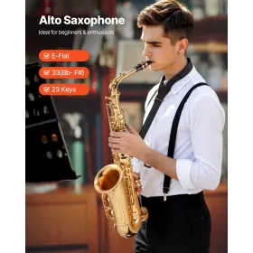 Alto Saxophone, E Flat, Brass Saxophone Beginner Kit with Carrying Case, Mouthpiece, Straps, Cleaning Cloth Rod, Gloves, Grease,