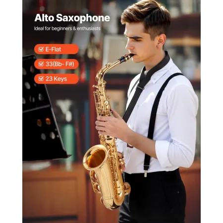 Alto Saxophone, E Flat, Brass Saxophone Beginner Kit with Carrying Case, Mouthpiece, Straps, Cleaning Cloth Rod, Gloves, Grease,