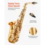 Alto Saxophone, E Flat, Brass Saxophone Beginner Kit with Carrying Case, Mouthpiece, Straps, Cleaning Cloth Rod, Gloves, Grease,