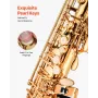 Alto Saxophone, E Flat, Brass Saxophone Beginner Kit with Carrying Case, Mouthpiece, Straps, Cleaning Cloth Rod, Gloves, Grease,