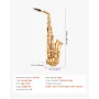Alto Saxophone, E Flat, Brass Saxophone Beginner Kit with Carrying Case, Mouthpiece, Straps, Cleaning Cloth Rod, Gloves, Grease,