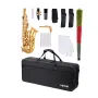 VEVOR Alto Saxophone, E Flat, Brass Saxophone Beginner Kit with Carrying Case, Mouthpiece, Straps, Cleaning Cloth Rod, Gloves, G