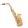 Alto Saxophone, E Flat, Brass Saxophone Beginner Kit with Carrying Case, Mouthpiece, Straps, Cleaning Cloth Rod, Gloves, Grease,