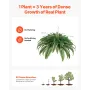 VEVOR Artificial Ferns, Natural Spread Diameter 37-41 Inch, Large Hanging Fake Boston Ferns, Sunlight Resistant Fake Plant Wall 
