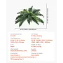 Artificial Ferns 2 Pcs, Natural Spread Diameter 31-34 Inch, Large Hanging Artificial Boston Ferns, Fake Plant Wall Decor with 30