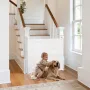 Indtrækkelig babylåge, 870 mm høj, forlænges op til 1400 mm