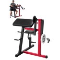 2 in 1 Preacher Curl Bench Bicep Curls and Triceps Extension Machine