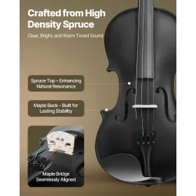 Violin 355mm Size 4/4 Fiddle Set Solidwood for Beginner with Case Rosin Black