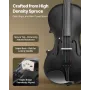 Violin 355mm Size 4/4 Fiddle Set Solidwood for Beginner with Case Rosin Black