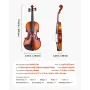 VEVOR Violin 4/4 355 mm fuld størrelse violinsæt massivtræ til begyndere blank brun