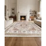 Area Rug, 8 x 10 ft Large Washable Rug, Non-Slip and Tear-Resistant Soft Carpet, Pet & Child Friendly Vintage Area Rugs, Indoor 