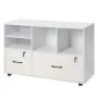 2 Drawer Wooden File Cabinet, Mobile Filing Cabinet with Open Shelves, Lockable Lateral Rolling File Storage with Adjustable She