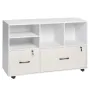 2 Drawer Wooden File Cabinet, Mobile Filing Cabinet with Open Shelves, Lockable Lateral Rolling File Storage with Adjustable She