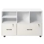 2 Drawer Wooden File Cabinet, Mobile Filing Cabinet with Open Shelves, Lockable Lateral Rolling File Storage with Adjustable She