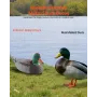 VEVOR Duck Decoys, Realistic Floating Duck Decoys, Weight Forward Swim, Impact-Resistant & Silent XPE Duck Hunting Decoy Outdoor