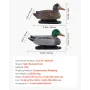 VEVOR Duck Decoys, Realistic Floating Duck Decoys, Weight Forward Swim, Impact-Resistant & Silent XPE Duck Hunting Decoy Outdoor