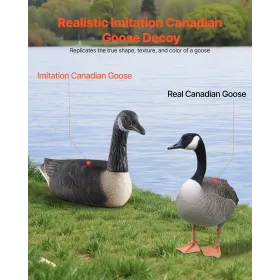 Canada Goose lokkefugle, udendørs gåse lokkefugle til