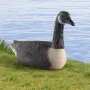 Canada Goose lokkefugle, udendørs gåse lokkefugle til