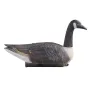 Canada Goose Decoys, Outdoors Goose Decoy for Waterfowl Hunting, Durable Plastic Floaters with Ultra Realistic Paint, for Pool, 