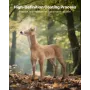 Deer Decoy, Outdoor Deer Decoys for Hunting, Realistic Durable HDPE Doe Hunting Decoy, Foldable Legs for Easy to Carry and Use, 