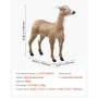 Deer Deer, Outdoor Deer Decoy til jagt, Realistisk holdbar HDPE