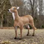 Deer Decoy, Outdoor Deer Decoys for Hunting, Realistic Durable HDPE Doe Hunting Decoy, Foldable Legs for Easy to Carry and Use, 