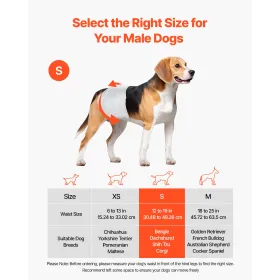 engangsbleer til hanhunde, superabsorberende omslag til