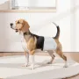 engangsbleer til hanhunde, superabsorberende omslag til