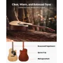 1041.4 mm (41 inch) Cutway Acoustic Guitar Natural Beginner Bundle Gig Bag for Adult