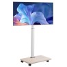Rolling TV Stand Mobile TV Cart holder op til 99 lbs til 32-70 tommer skærme