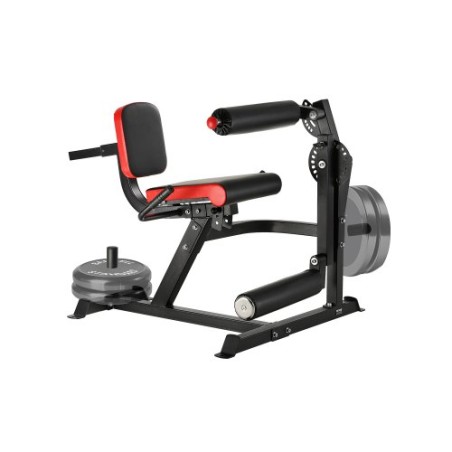 Leg Extension and Curl Machine Lower Body Special Leg Exercise Bench Gym